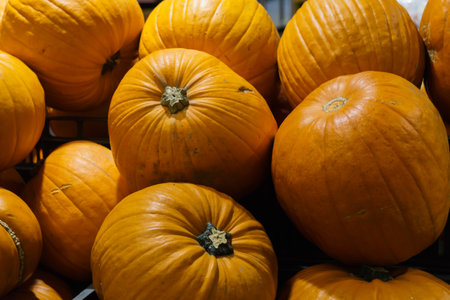 Group of beautiful orange pumpkins close-up in a crate in a marketの写真素材