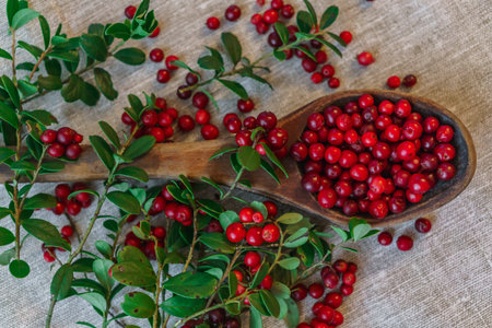 Berries of red lingonberry in a wooden spoon, along with twigs, on a tableの写真素材