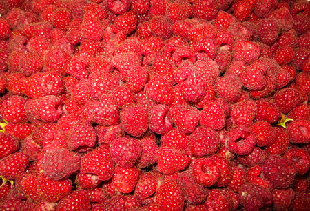Fresh, juicy, red raspberries on the table