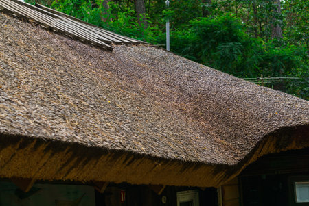Sample made of an old thatched roofの写真素材