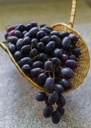 Clusters of fresh sweet dark grapes lying in a basket on a tableの写真素材