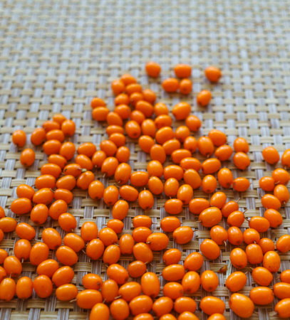 Brightly orange sea-buckthorn berries are scattered on the tableの写真素材