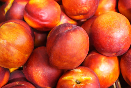 Fresh multicolored nectarines lying in a boxの写真素材