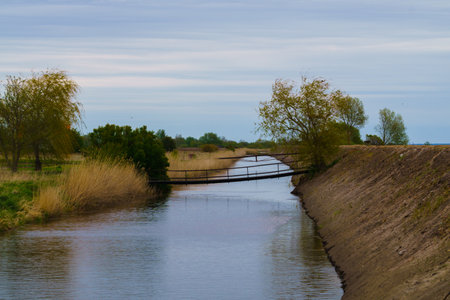 Wooden bridge over the river channel, crossing to the other sideの写真素材