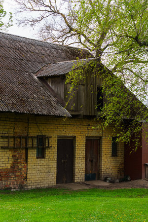 Very old abandoned agricultural buildings of the 19th century in a Latvian village, May 2020の写真素材