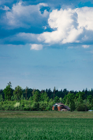 beautiful landscape of fields, forests and blue sky in Latvia in summer.の写真素材