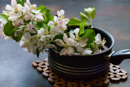 Still life of a blossoming branch of an apple tree on the tableの写真素材