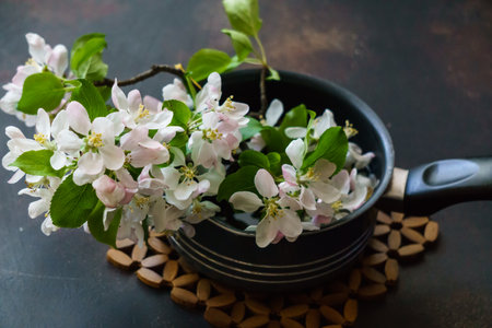 Still life of a blossoming branch of an apple tree on the tableの写真素材