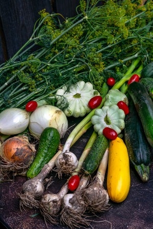 The first harvest of vegetables from the garden.の写真素材