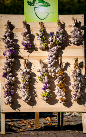 Braided garlic is hung on a wooden board for sale in the market.の写真素材