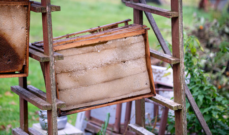 Old wooden frames for bees are exposed to dryの写真素材