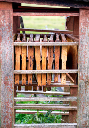 Old wooden frames for bees are exposed to dry