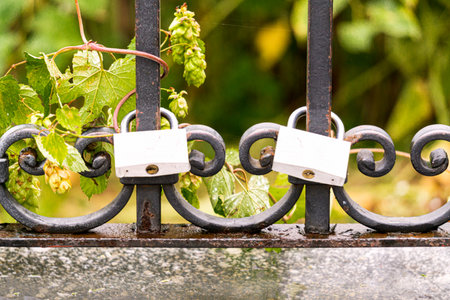 Locks on the bridge railings after the wedding ceremony.の写真素材