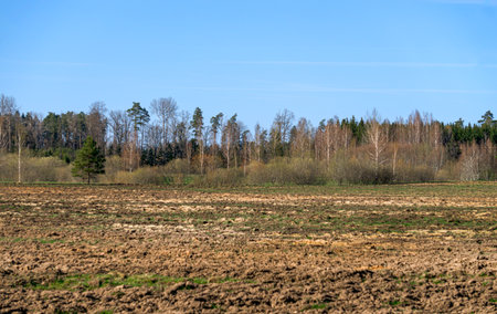 Vast expanses of forests and fields in early spring.Endless spaces and wonderful views.