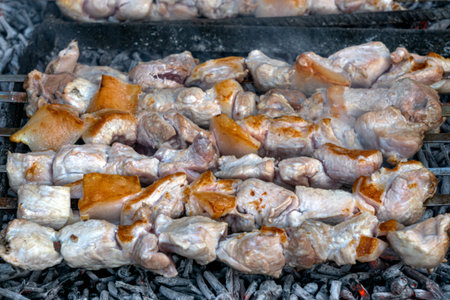 Traditional meat on a skewer, a culinary heritage of the Caucasus, cooked over grapevine charcoal.の写真素材
