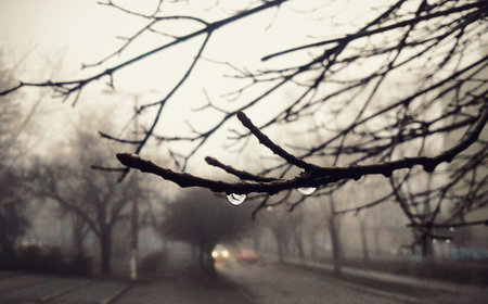 Rainのeditorial素材