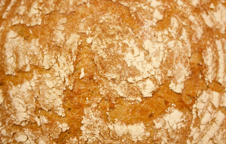 Detail of the grain bread crust