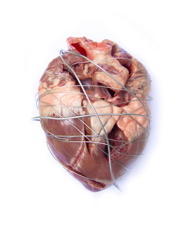 badness heart muscle body organの写真素材