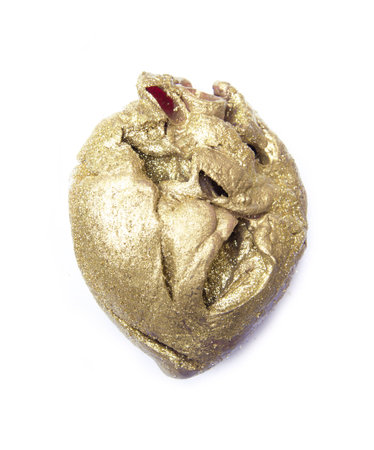 gold heart muscle pride body organの写真素材