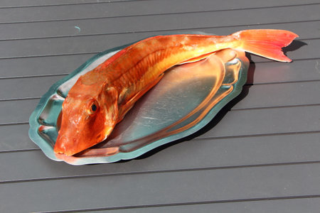 Gurnard was pewter dish