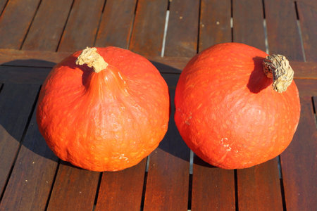 Pumpkins on a wooden tableの写真素材