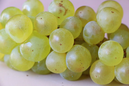 Bunch of grapesの写真素材