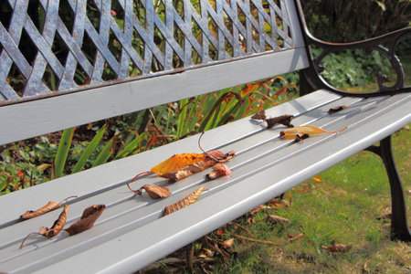 Dead leaves on a benchの写真素材