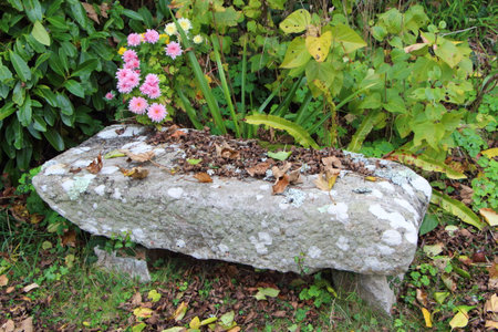 Dead leaves on a stone bench in a garden during autumnの写真素材
