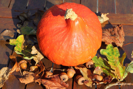 Pumpkin, dead leaves and acorn on a wooden table after harvest in autumnの写真素材