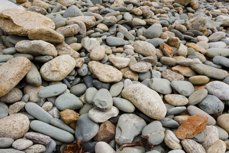 Pebbles on the coast of Brittanyの写真素材