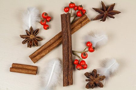 Cinnamon sticks, star anise, feather and red berries as decoration for Christmas and New Year