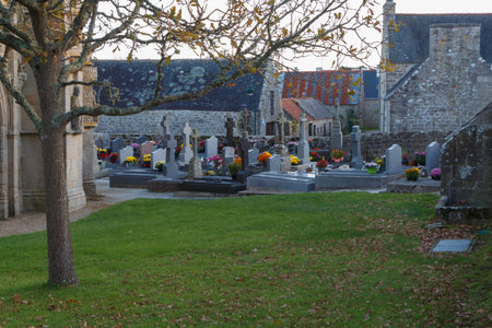 Cemetery with chrysanthemum plants on tombstones for All Saints Day