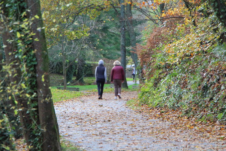 Senior women going for a walk in a park during autumnの写真素材