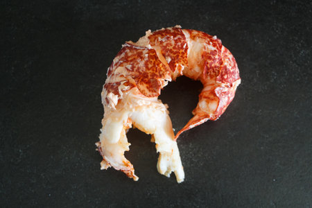 Peeled cooked tail of a breton lobsterの写真素材