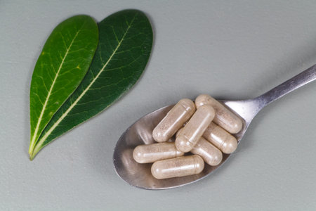 Capsules of plants extract in a tea spoon and leavesの写真素材
