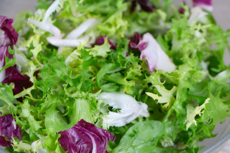 Green salad with lamb's lettuce, curly endive and radicchio in a dish