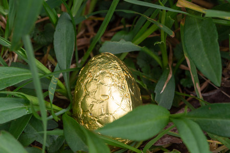Chocolate egg wrapped in golden paper hidden in grass for Easter