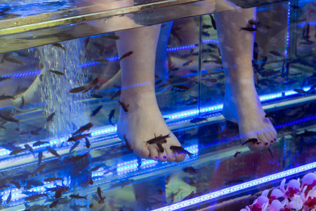 Feet in a fish pedicure tank in Pragueの写真素材