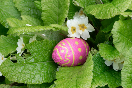 Chocolate egg wrapped in pink paper hidden in a plant for Easter