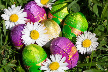 Chocolate eggs hidden in grass and daisy flowers for Easter