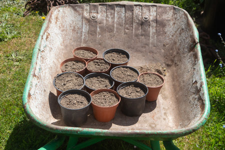Preparing flowerpots with potting soil for plantation of flowers or vegetable plants