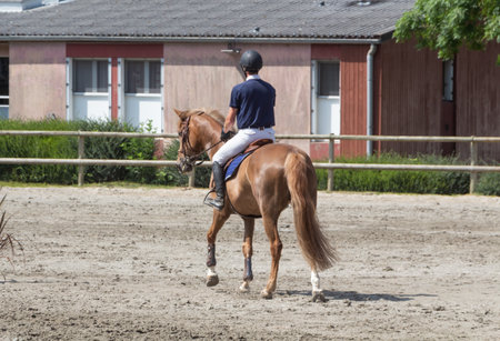Man riding a chestnut horse at walking paceの写真素材