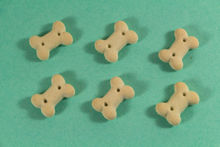 Pattern with dog food in the shape of bonesの写真素材