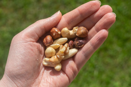 Dried fruits in a hand for a healthy snackの写真素材