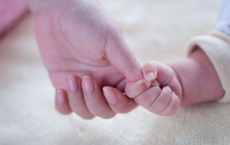Hands of a familyの写真素材
