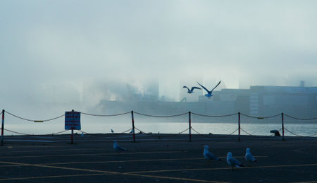 Cargo Ship in Fogの写真素材