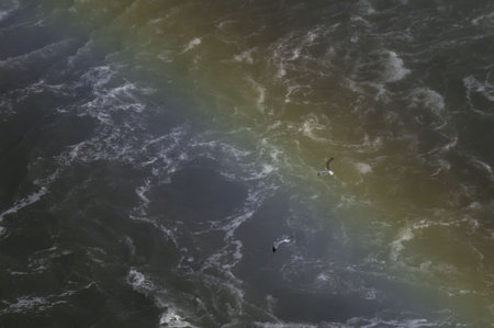 Where a rainbow meets the groundの写真素材