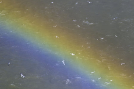 Where a rainbow meets the groundの写真素材