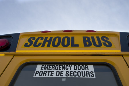 school busの写真素材