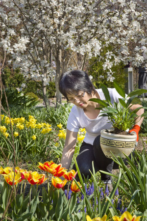 Woman Gardening